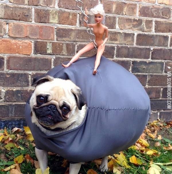 You%26%238217%3Bre+doing+it+right.