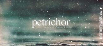 Petrichor