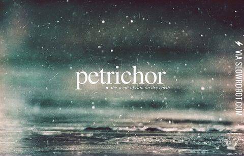 Petrichor
