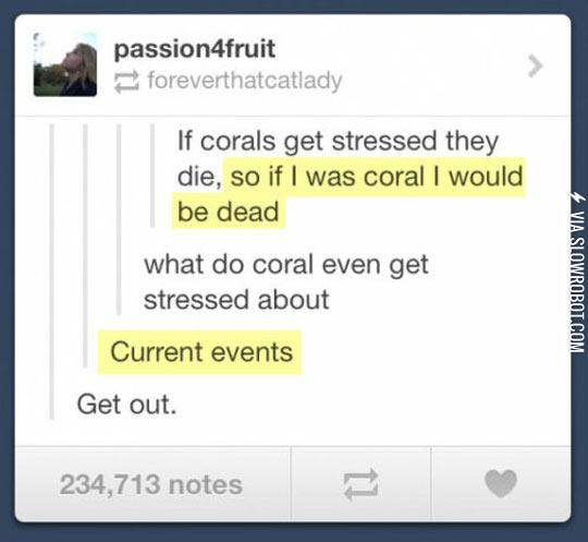 When+Corals+Get+Stressed