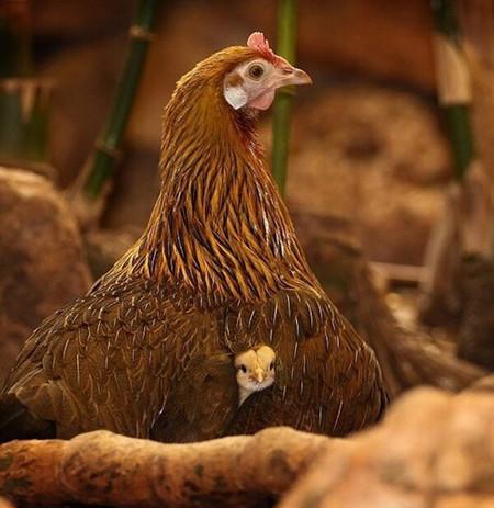 Is+It+Safe+To+Come+Out%2C+Mom%3F