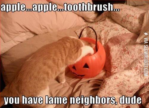 Halloween+in+my+neighborhood.