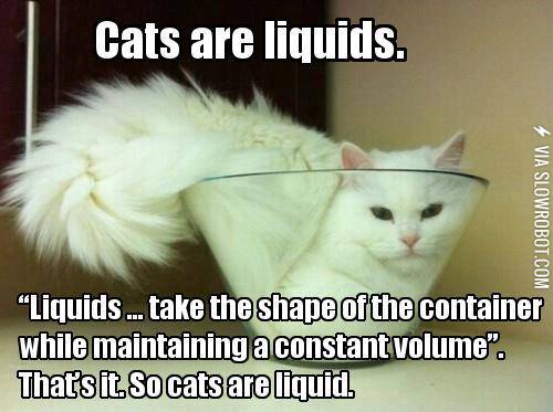 Cats+are+liquids.