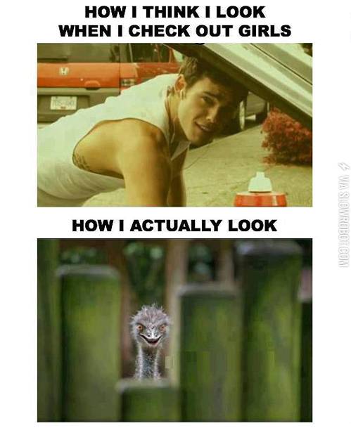 How+I+think+I+look+when+I+check+out+girls+vs.+How+I+actually+look.