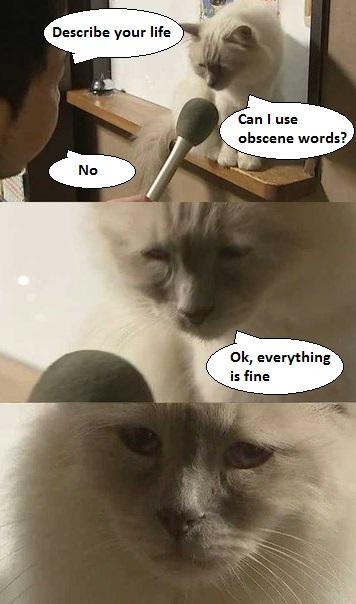 When+someone+asks+me+about+my+life