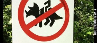 you+better+not+be+riding+your+triceratops