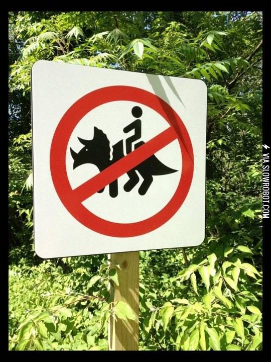 you+better+not+be+riding+your+triceratops