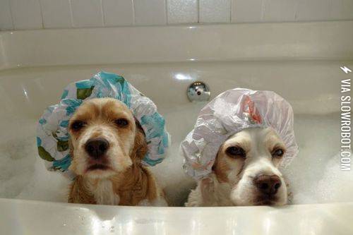 Bath+time+makes+us+grumpy.