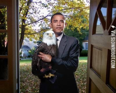 Birds+of+a+feather+flock+together.