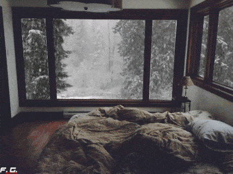 Winter+dreams.