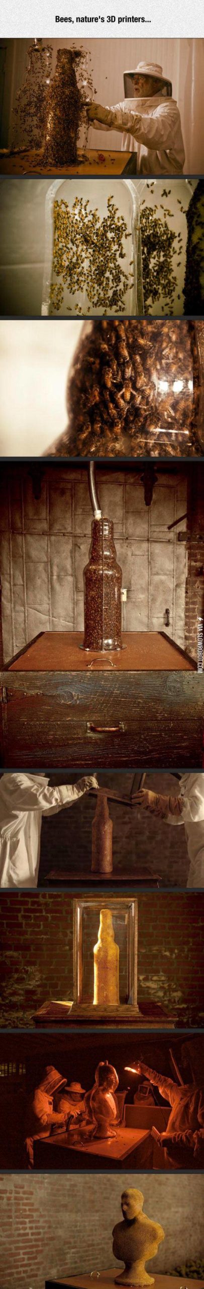 Nature%26%238217%3Bs+3D+Printers