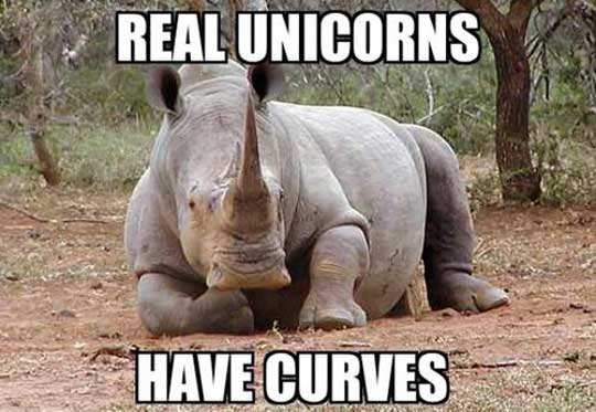 Real+unicorns+have+Type+II+Diabetes