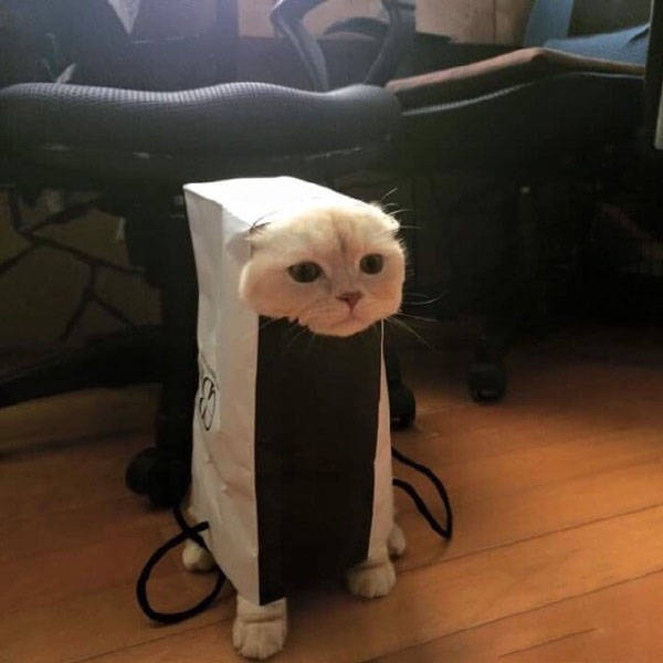 I%26%238217%3Bm+computer.