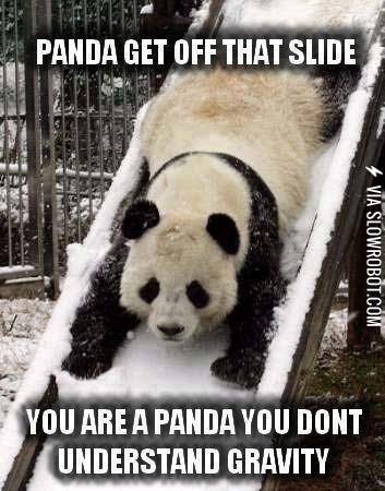 Silly+Panda