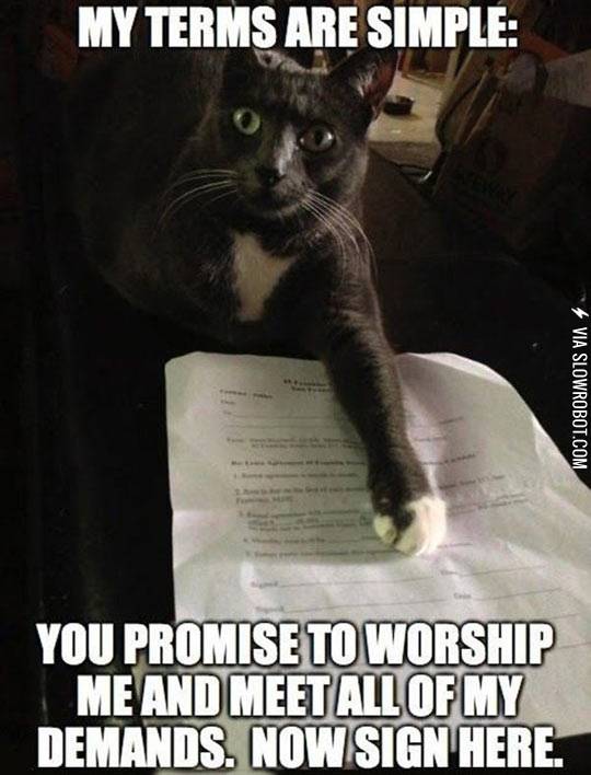 My+terms+are+simple.