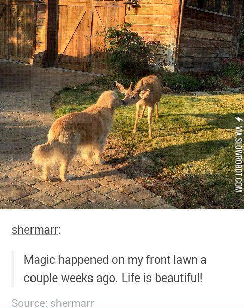 Life+is+beautiful%26%238230%3Band+strange