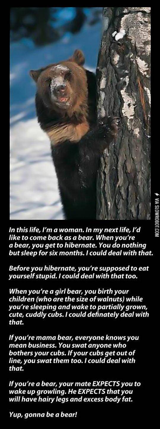 In+My+Next+Life%2C+I+Want+To+Come+Back+As+A+Bear