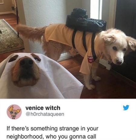 If+There%26%238217%3Bs+Something+Strang+In+Your+Neighborhood..