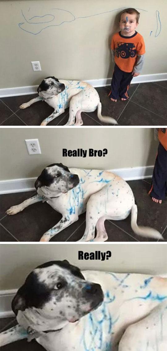 We+are+buds%2C+but+I+am+not+your+bro+right+now.