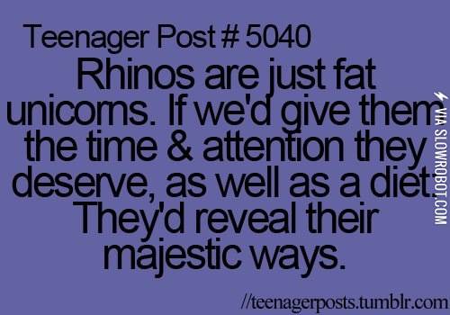 Rhino+Unicorns