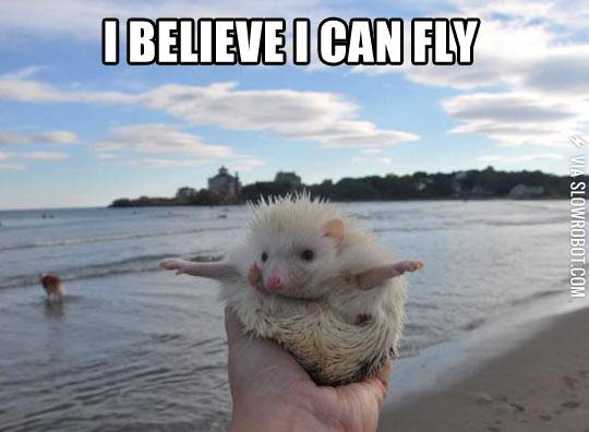 I+believe+I+can+fly%21