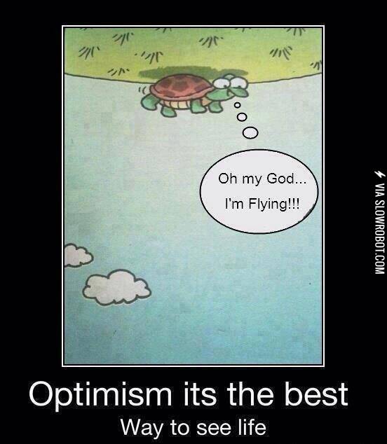 Crazy+optimistic+turtle