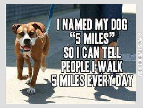 Walking+5+miles+everyday