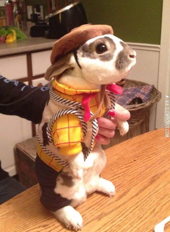 Hoppy+Halloween
