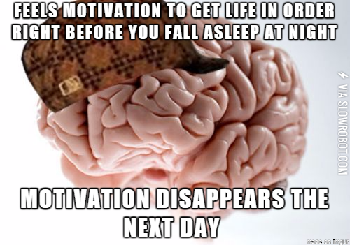 Why+brain%2C+why%3F%21