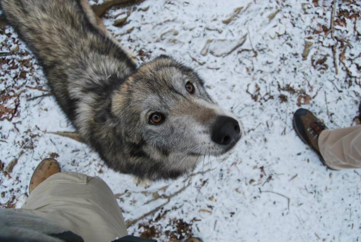 She+knows+shes+a+good+girl