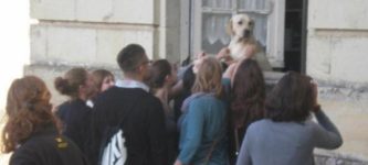 Visited+France+and+went+on+a+tour+of+castles+in+the+Loire+Valley.+This+dog+was+hanging+out+the+window+staring+longingly.+Everyone+left+the+tour+to+give+him+pets.+10%2F10+good+castle+boy.