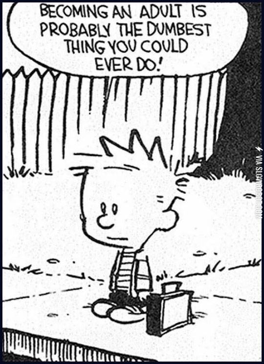 Calvin+gets+it.