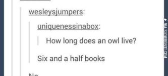 Lifespan+of+an+owl