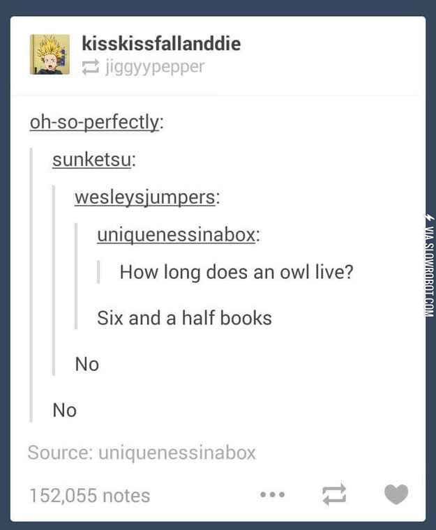 Lifespan+of+an+owl