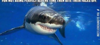 Friendly+Self-Esteem+Shark