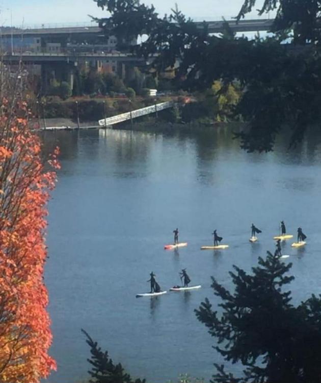 Witches+Paddleboarding+in+Portland
