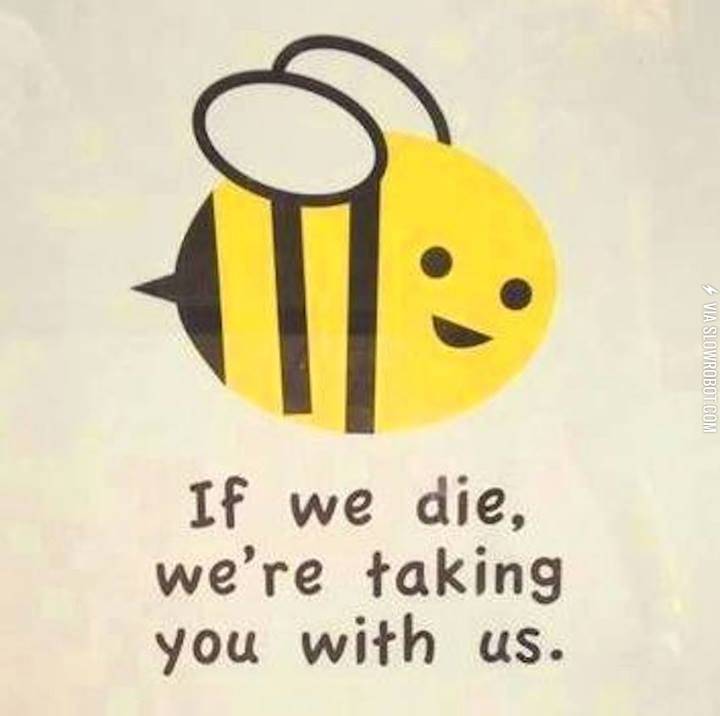 Bees+are+important.