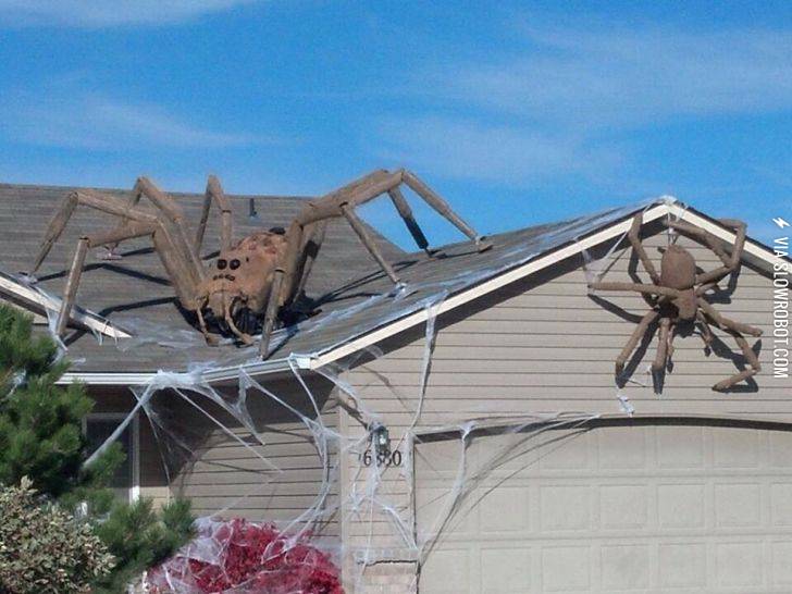 Typical+Australian+house+after+the+Halloween+decorations+come+down.