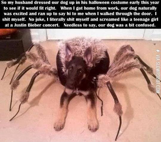 Screamed+Like+A+Terrified+Teenage+Girl