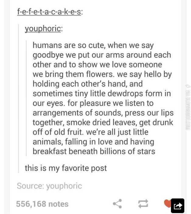 Humans+are+cute