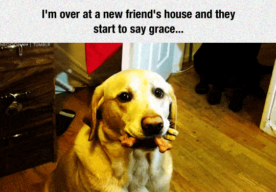 Oh%26%238230%3B+Uh+what+do%3F