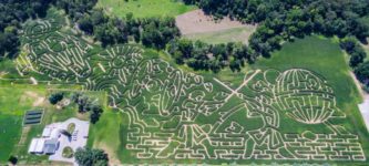 Star+Wars+Corn+Maze