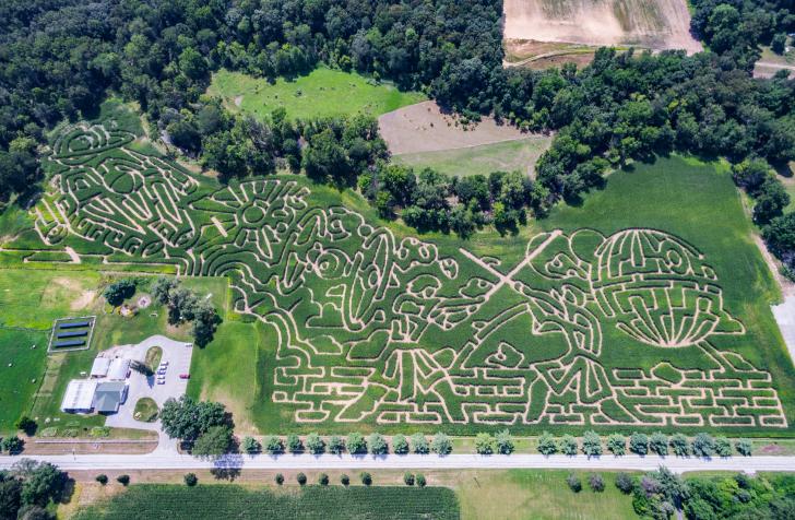 Star+Wars+Corn+Maze