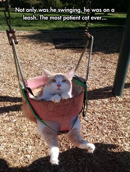 He+enjoys+the+neighborhood+parks.