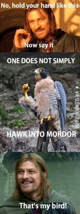 That%26%238217%3Bs+my+bird%21