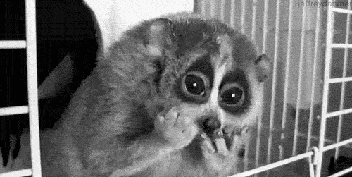 Whenever+I+eat+Cheetos.