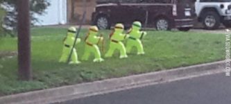 Caution%3A+teenage+mutant+ninja+turtles+ahead.