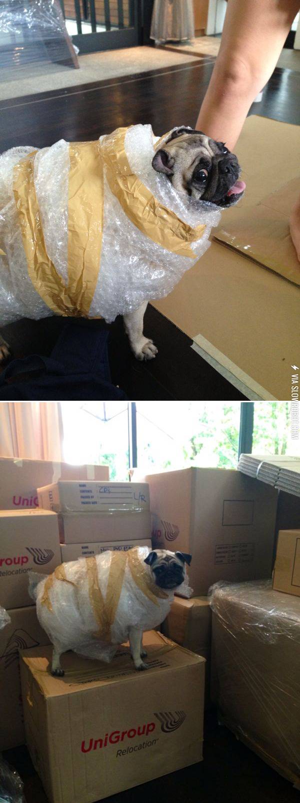 You+can+never+be+too+safe.