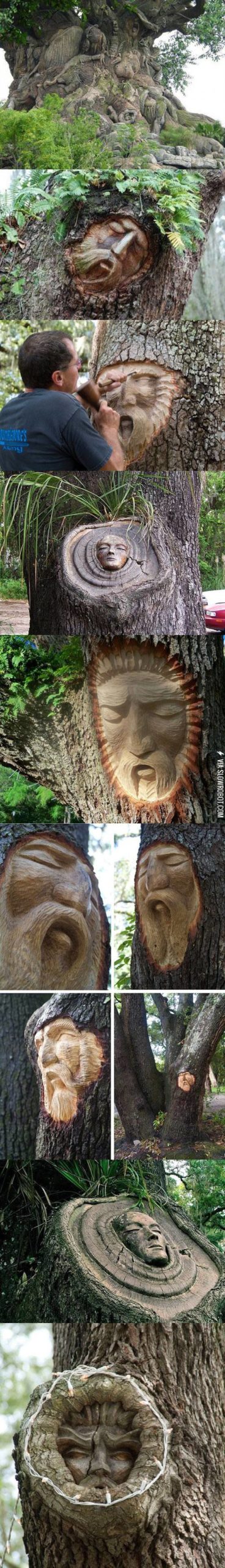 Tree+carvings