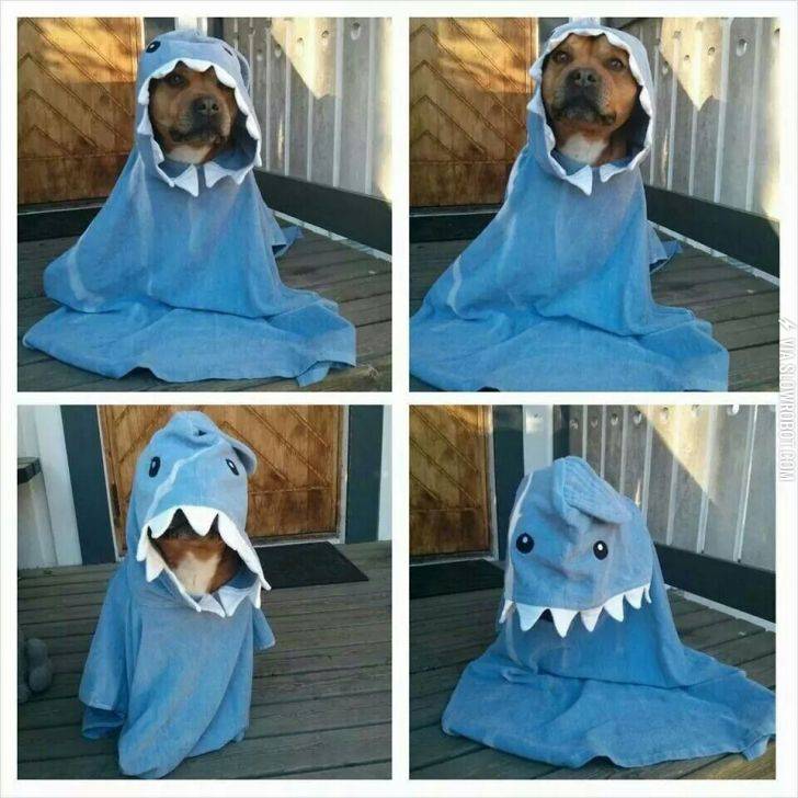 Lol.+They+will+never+find+me.